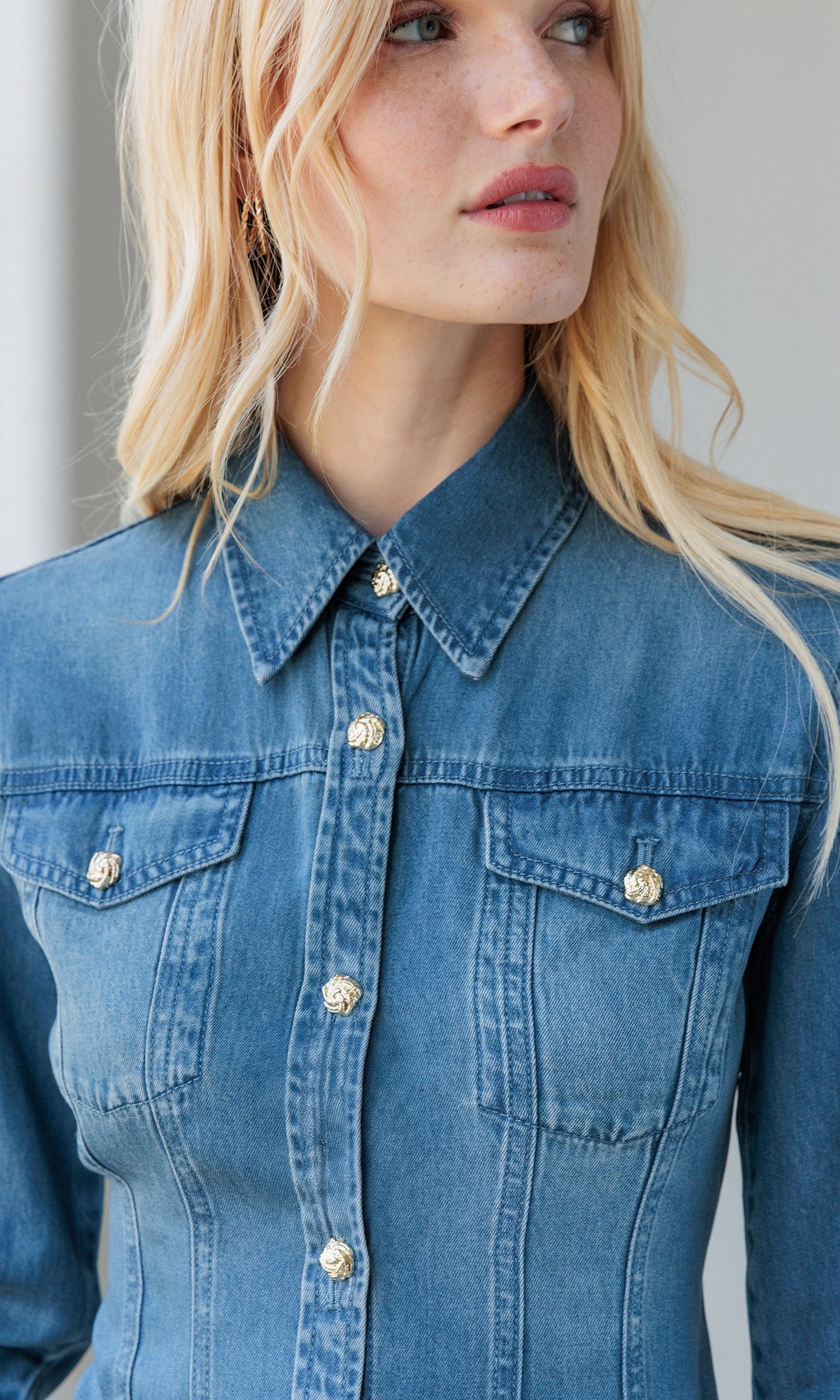 Antoinette Denim Shirt