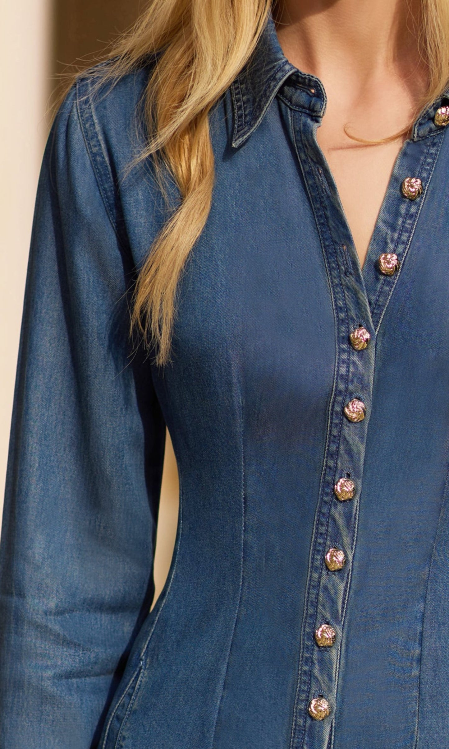 Clemente Tencel Denim Dress