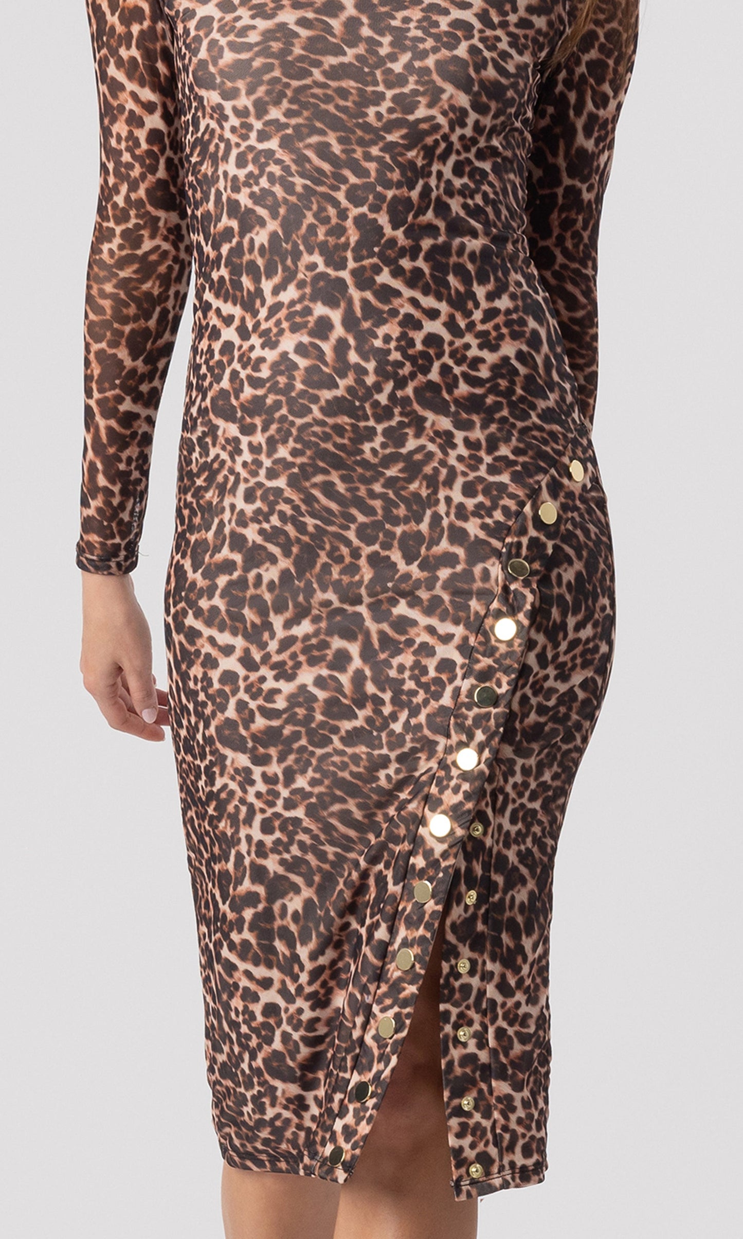 Monique Leo Mesh Dress