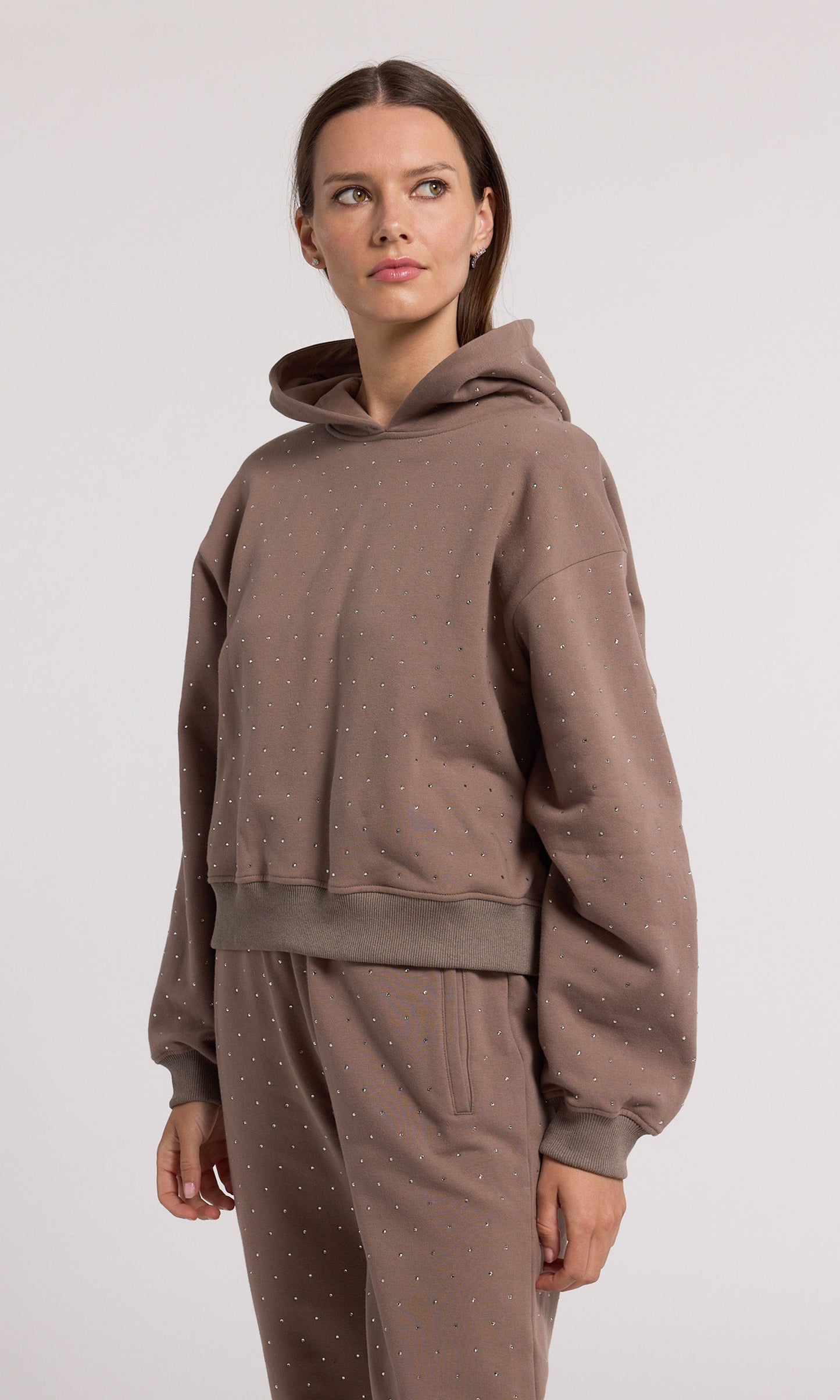 Renae Crystal Hoodie