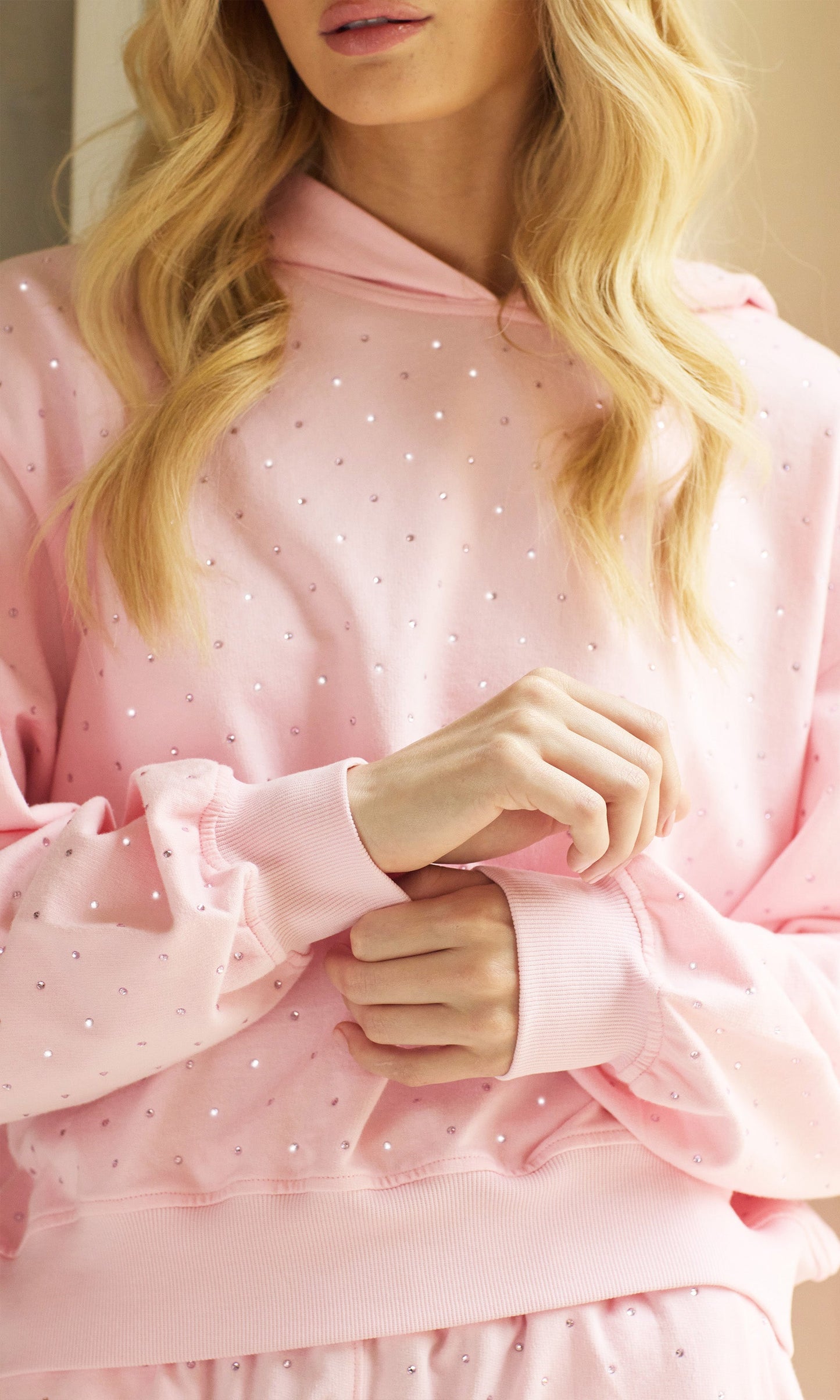 Renae Crystal Hoodie